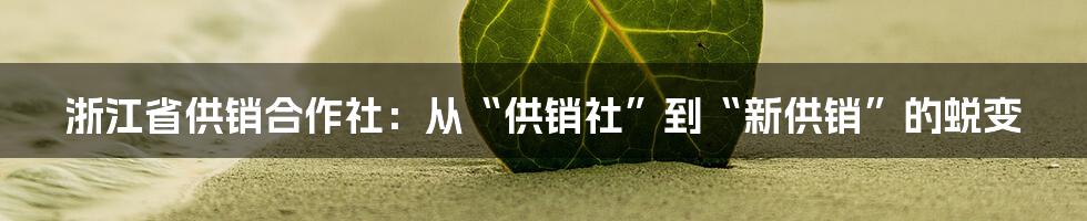 浙江省供销合作社：从“供销社”到“新供销”的蜕变