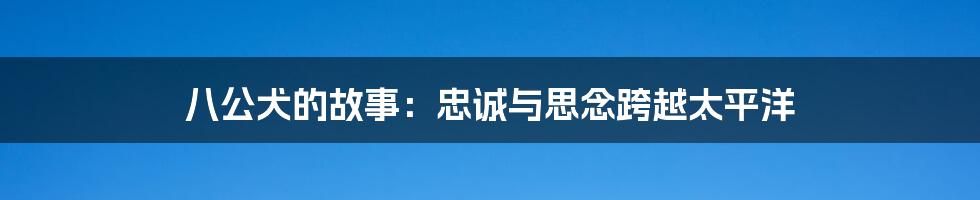 八公犬的故事：忠诚与思念跨越太平洋