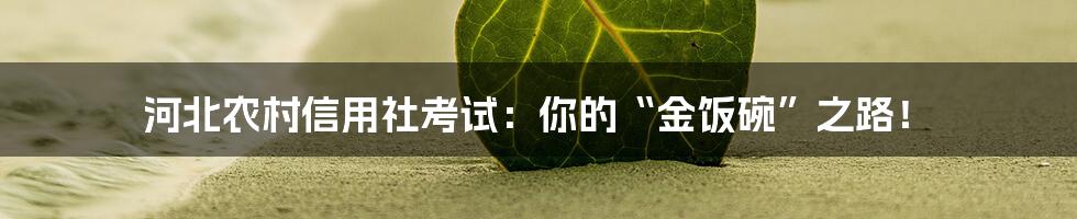 河北农村信用社考试：你的“金饭碗”之路！