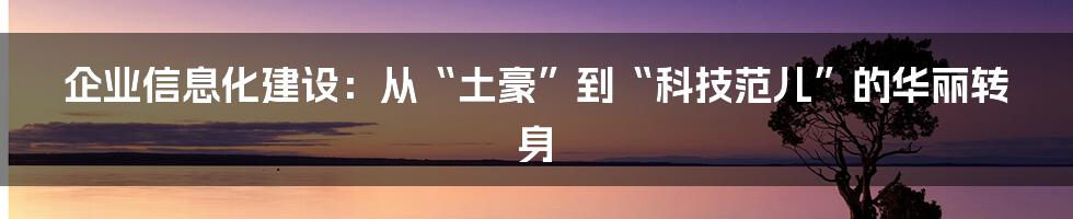 企业信息化建设：从“土豪”到“科技范儿”的华丽转身