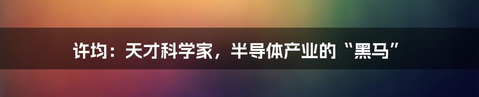 许均：天才科学家，半导体产业的“黑马”