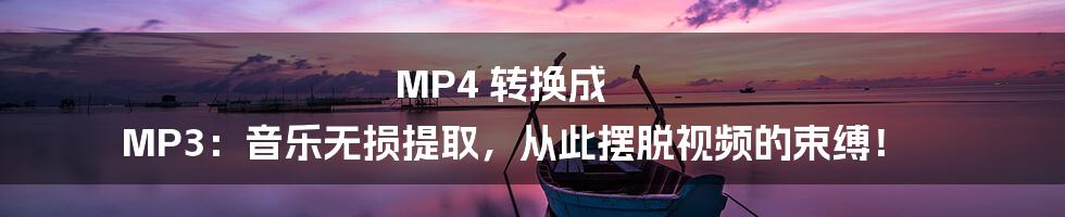 MP4 转换成 MP3：音乐无损提取，从此摆脱视频的束缚！