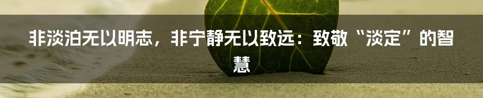 非淡泊无以明志，非宁静无以致远：致敬“淡定”的智慧