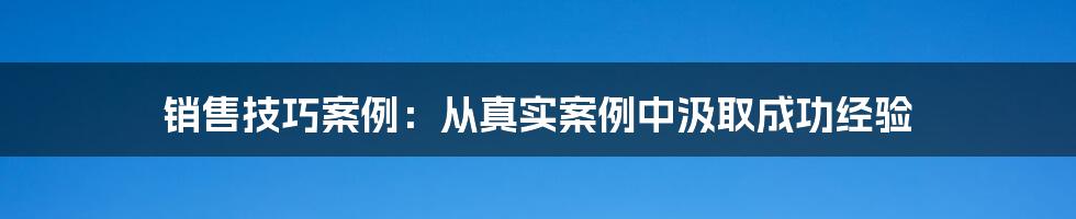 销售技巧案例：从真实案例中汲取成功经验