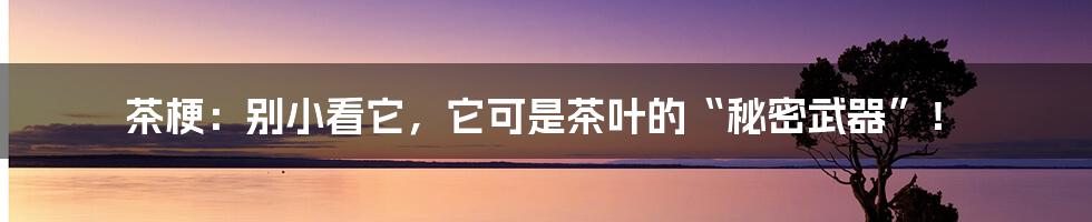 茶梗：别小看它，它可是茶叶的“秘密武器”！