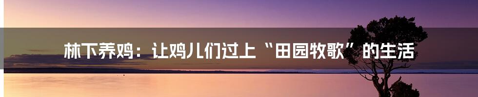 林下养鸡：让鸡儿们过上“田园牧歌”的生活