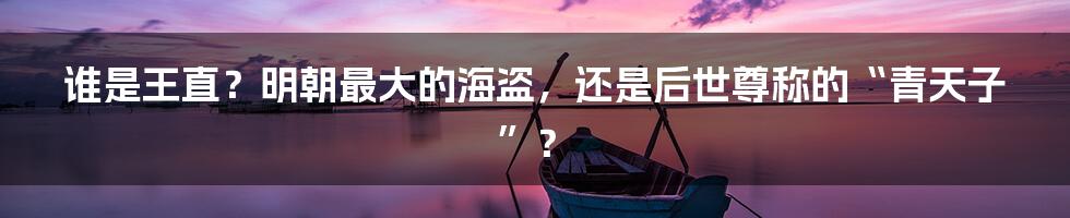 谁是王直？明朝最大的海盗，还是后世尊称的“青天子”？