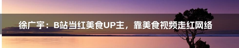 徐广宇：B站当红美食UP主，靠美食视频走红网络