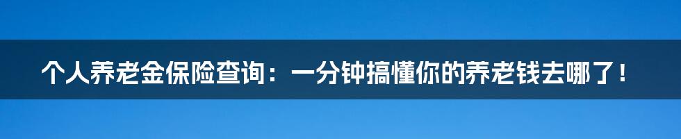 个人养老金保险查询：一分钟搞懂你的养老钱去哪了！