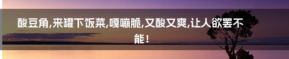 酸豆角,来罐下饭菜,嘎嘣脆,又酸又爽,让人欲罢不能！