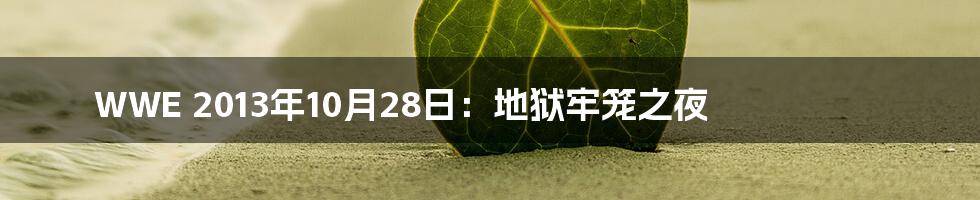 WWE 2013年10月28日：地狱牢笼之夜