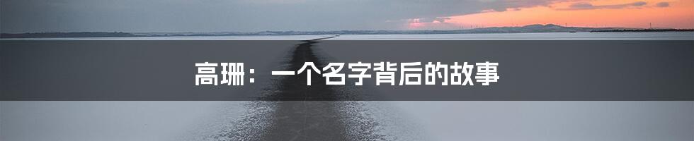 高珊：一个名字背后的故事