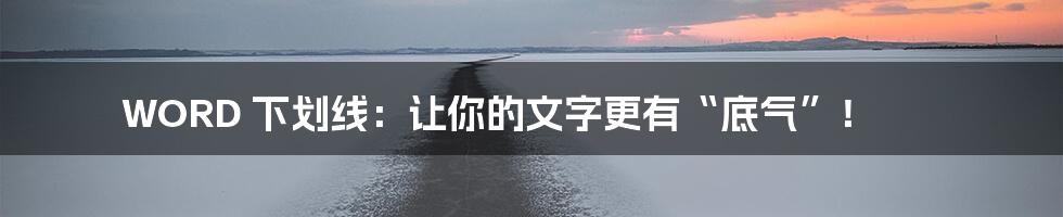 WORD 下划线：让你的文字更有“底气”！