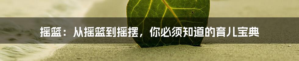 摇篮：从摇篮到摇摆，你必须知道的育儿宝典