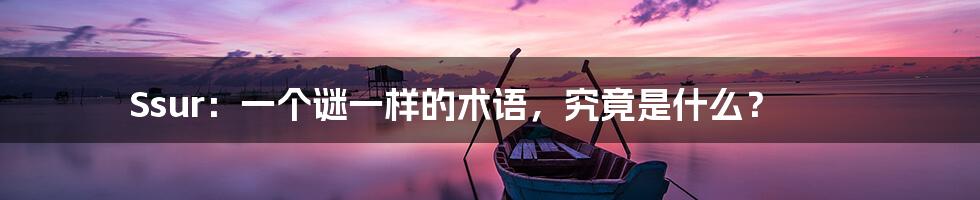 Ssur：一个谜一样的术语，究竟是什么？