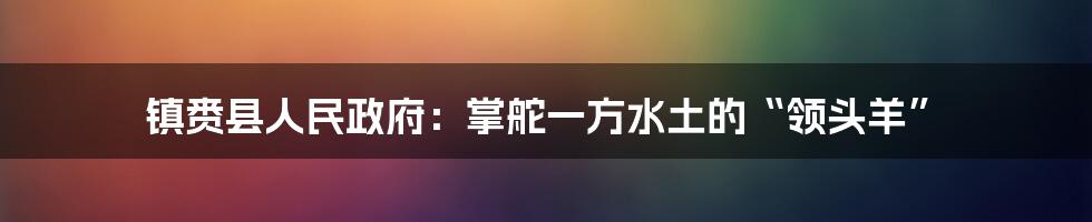 镇赉县人民政府：掌舵一方水土的“领头羊”