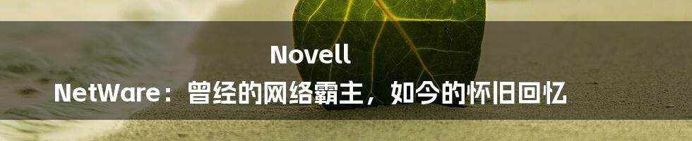 Novell NetWare：曾经的网络霸主，如今的怀旧回忆