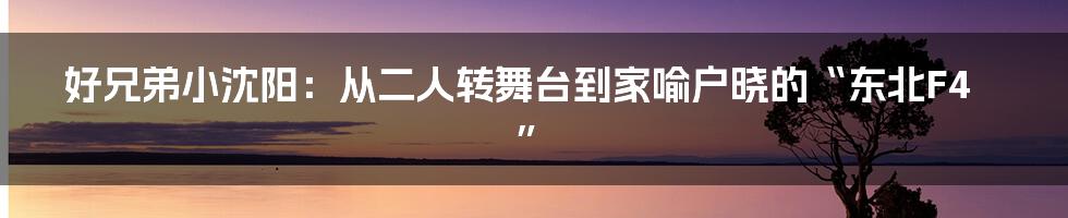 好兄弟小沈阳：从二人转舞台到家喻户晓的“东北F4”