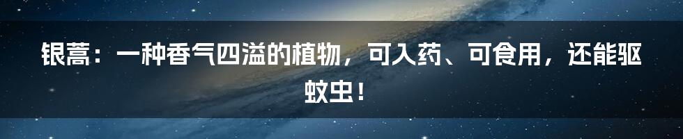 银蒿：一种香气四溢的植物，可入药、可食用，还能驱蚊虫！