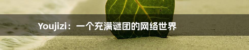 Youjizi：一个充满谜团的网络世界