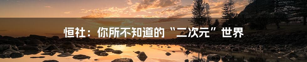 恒社：你所不知道的“二次元”世界