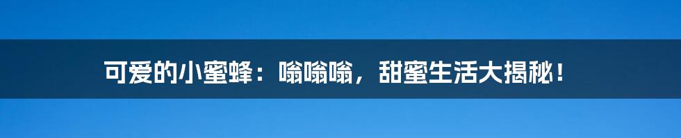 可爱的小蜜蜂：嗡嗡嗡，甜蜜生活大揭秘！