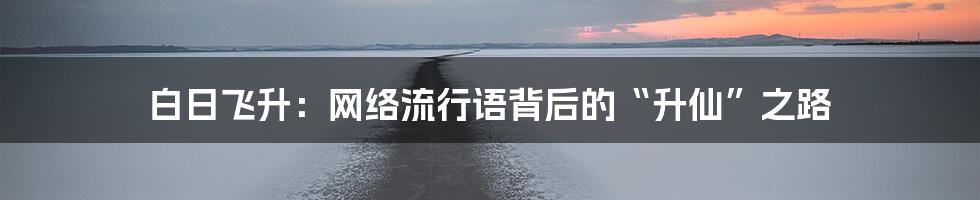 白日飞升：网络流行语背后的“升仙”之路