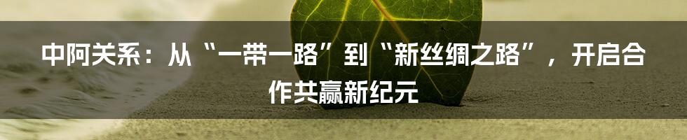 中阿关系：从“一带一路”到“新丝绸之路”，开启合作共赢新纪元