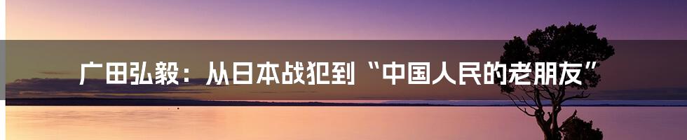 广田弘毅：从日本战犯到“中国人民的老朋友”