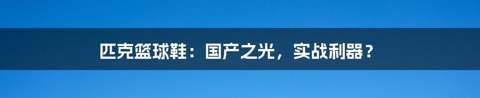 匹克篮球鞋：国产之光，实战利器？