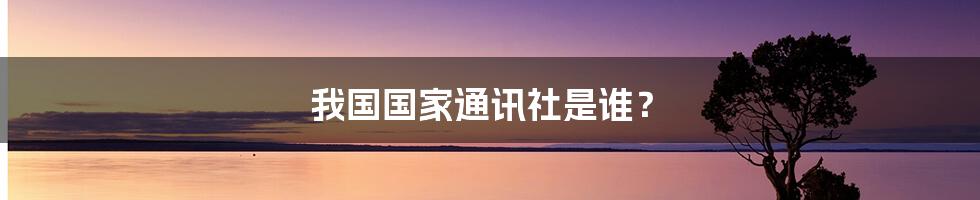 我国国家通讯社是谁？