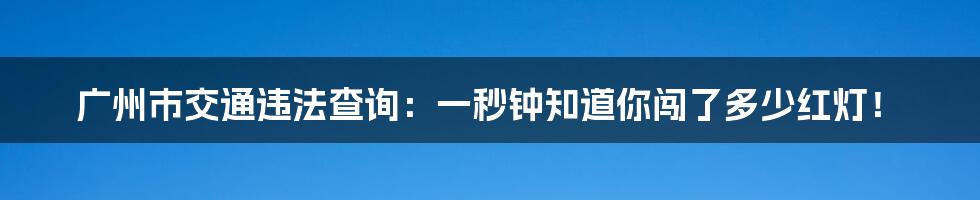 广州市交通违法查询：一秒钟知道你闯了多少红灯！