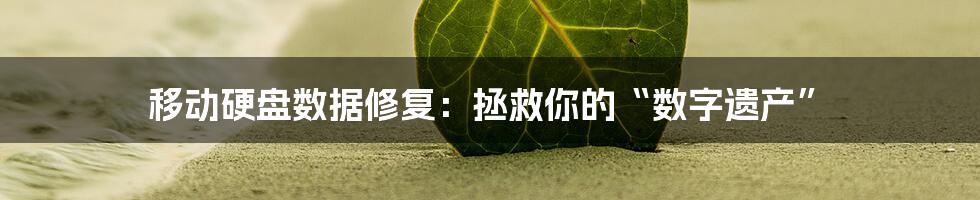 移动硬盘数据修复：拯救你的“数字遗产”