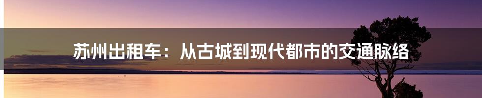 苏州出租车：从古城到现代都市的交通脉络