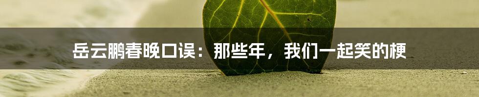 岳云鹏春晚口误：那些年，我们一起笑的梗