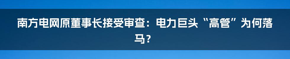 南方电网原董事长接受审查：电力巨头“高管”为何落马？