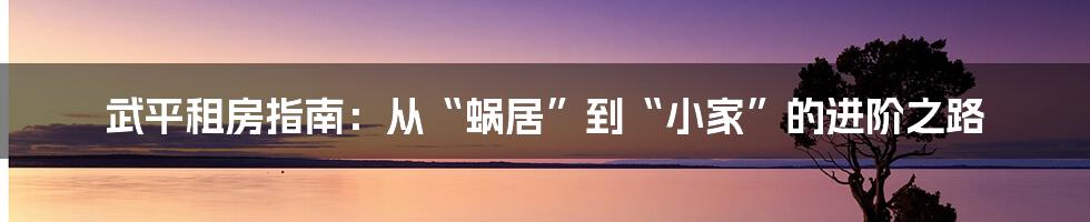 武平租房指南：从“蜗居”到“小家”的进阶之路