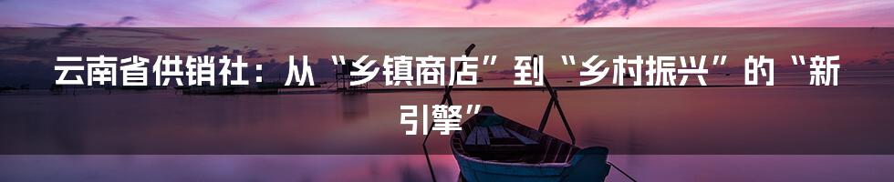 云南省供销社：从“乡镇商店”到“乡村振兴”的“新引擎”