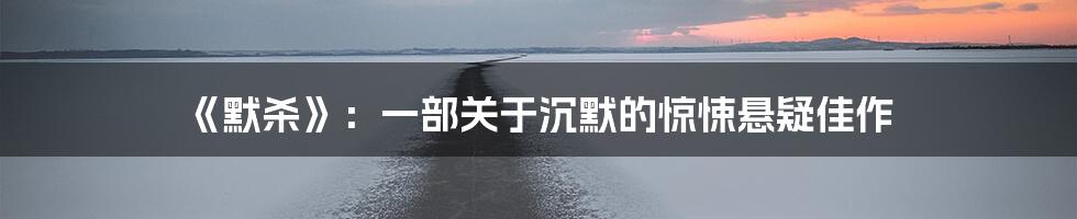 《默杀》：一部关于沉默的惊悚悬疑佳作