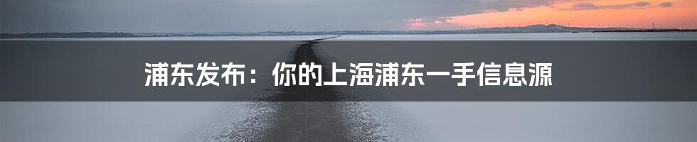 浦东发布：你的上海浦东一手信息源