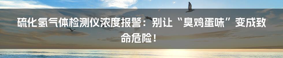 硫化氢气体检测仪浓度报警：别让“臭鸡蛋味”变成致命危险！