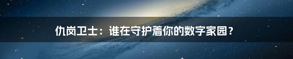 仇岗卫士：谁在守护着你的数字家园？