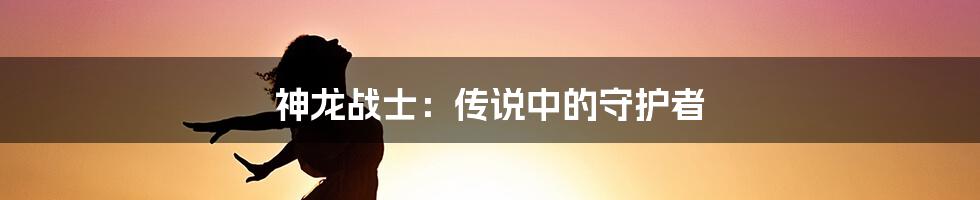 神龙战士：传说中的守护者