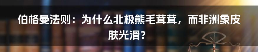 伯格曼法则：为什么北极熊毛茸茸，而非洲象皮肤光滑？