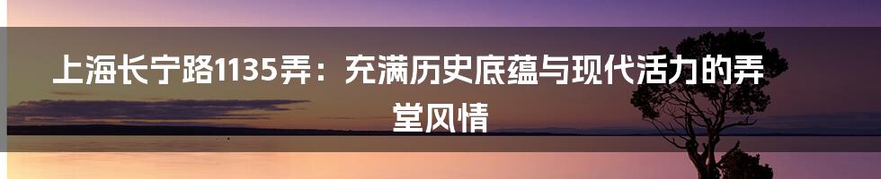 上海长宁路1135弄：充满历史底蕴与现代活力的弄堂风情