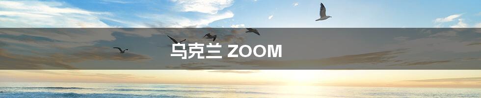 乌克兰 ZOOM