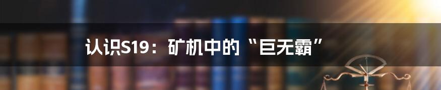 认识S19：矿机中的“巨无霸”