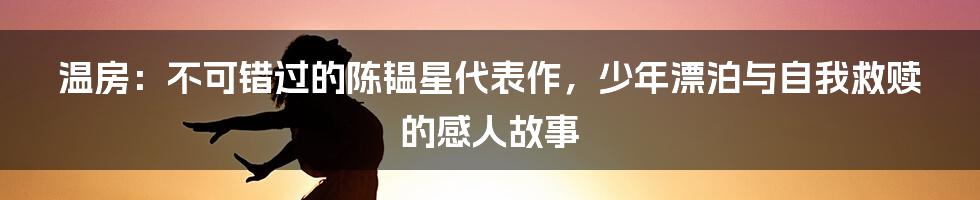 温房：不可错过的陈韫星代表作，少年漂泊与自我救赎的感人故事