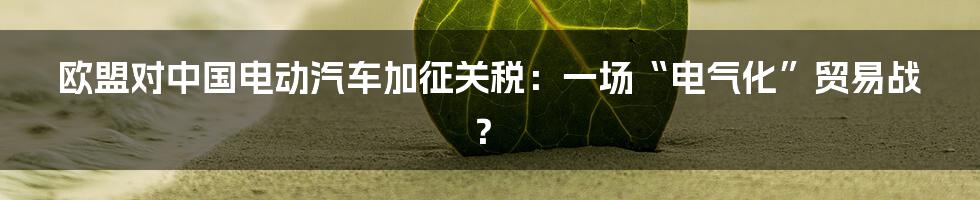 欧盟对中国电动汽车加征关税：一场“电气化”贸易战？