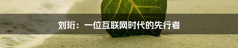 刘珩：一位互联网时代的先行者